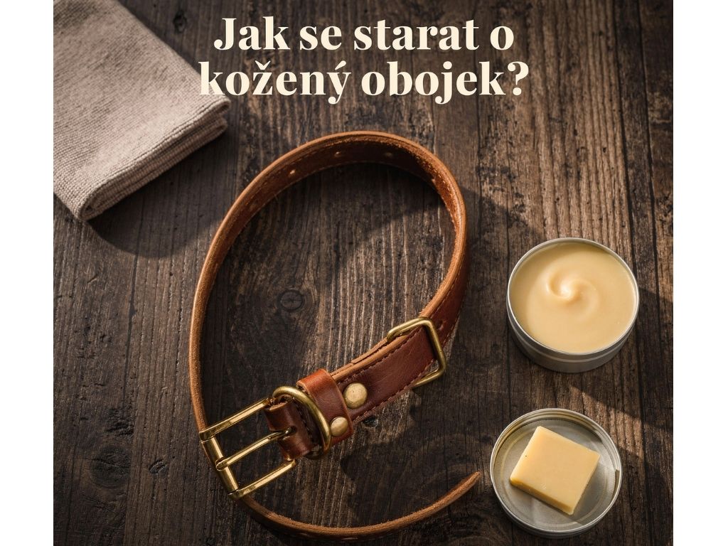 jak pečovat o kožený obojek